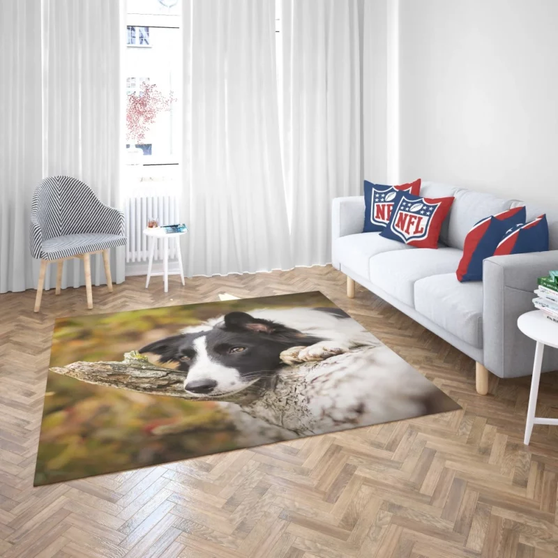 Cute Border Collie Rug 2