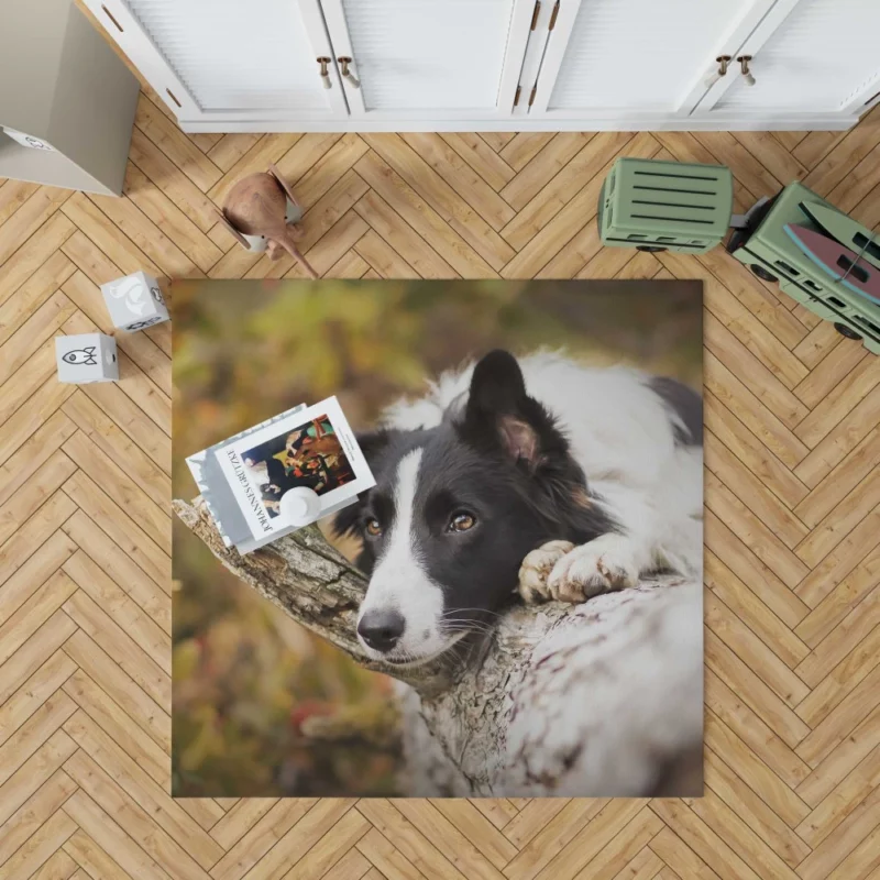 Cute Border Collie Rug