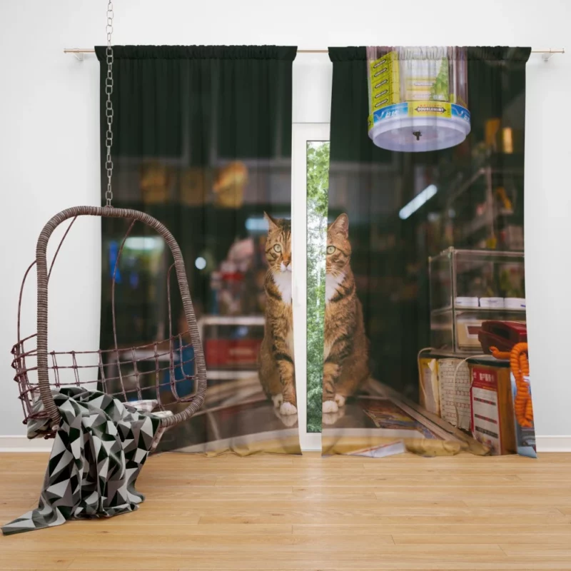 Cute Cat Beauty Curtain