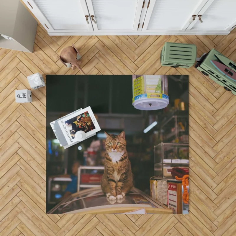 Cute Cat Beauty Rug