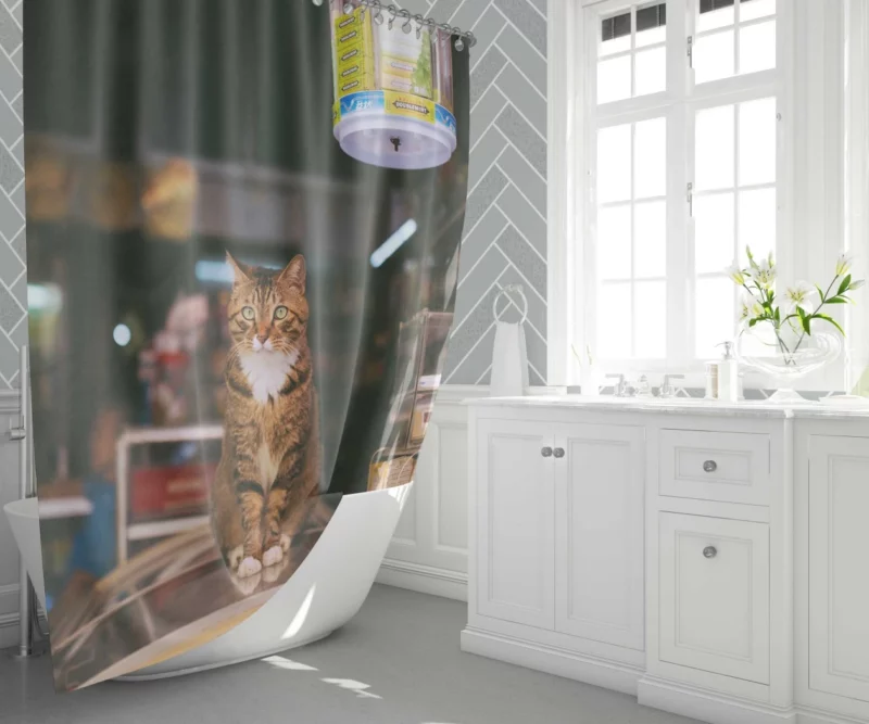 Cute Cat Beauty Shower Curtain 1