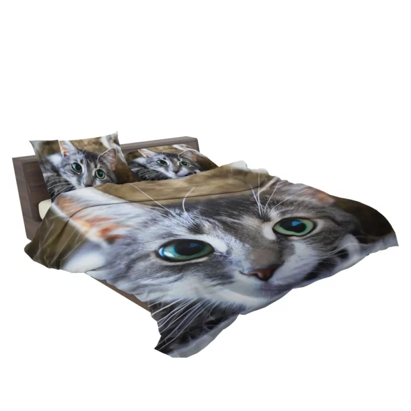 Cute Cat Innocent Stare Feline Charm Bedding Set 2