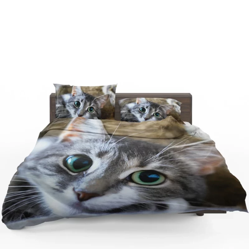 Cute Cat Innocent Stare Feline Charm Bedding Set