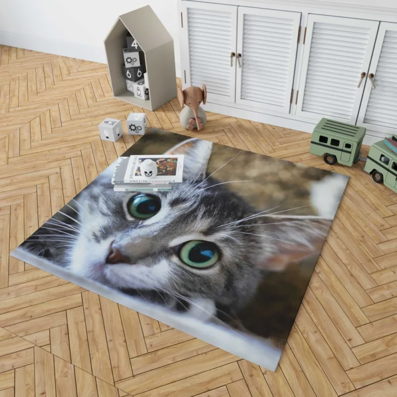 Cute Cat Innocent Stare Feline Charm Rug 1