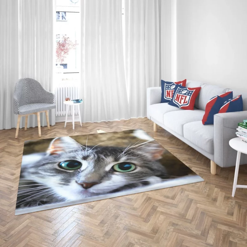 Cute Cat Innocent Stare Feline Charm Rug 2