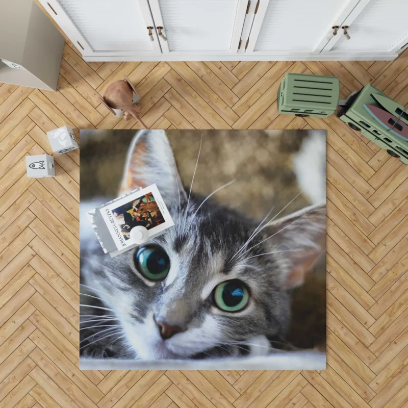 Cute Cat Innocent Stare Feline Charm Rug