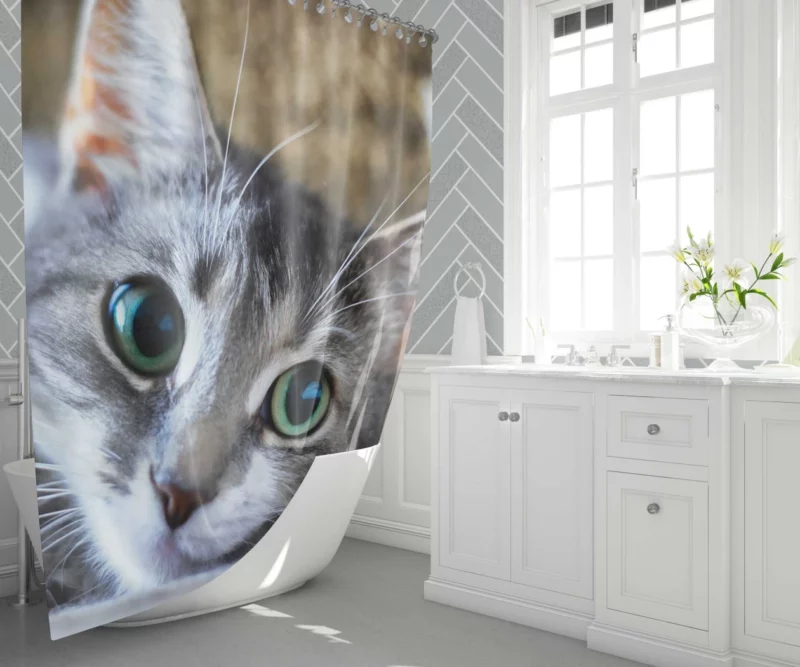 Cute Cat Innocent Stare Feline Charm Shower Curtain 1