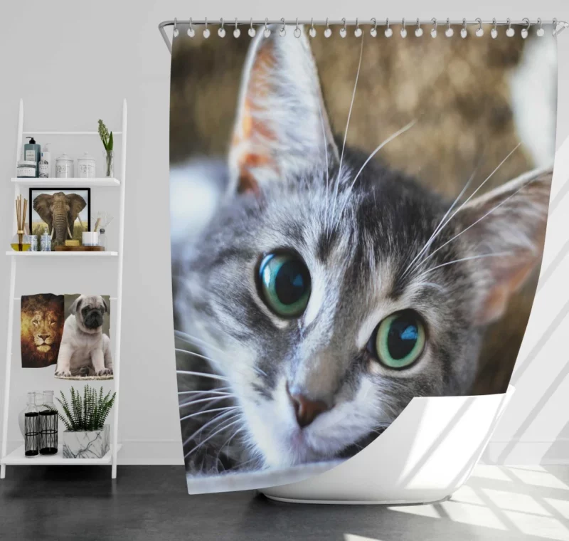 Cute Cat Innocent Stare Feline Charm Shower Curtain