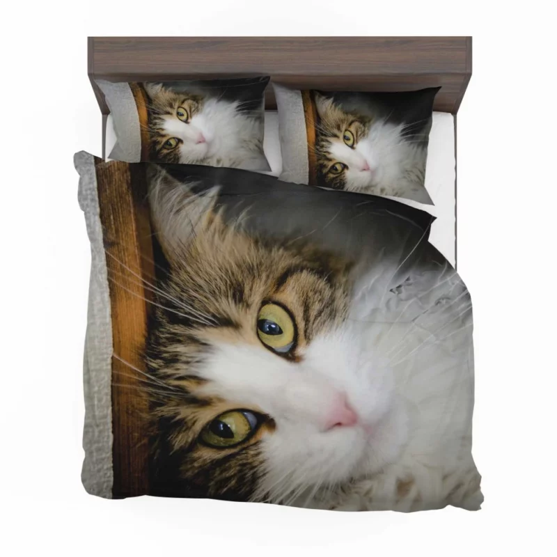 Cute Cat Whimsical Aura Bedding Set 1