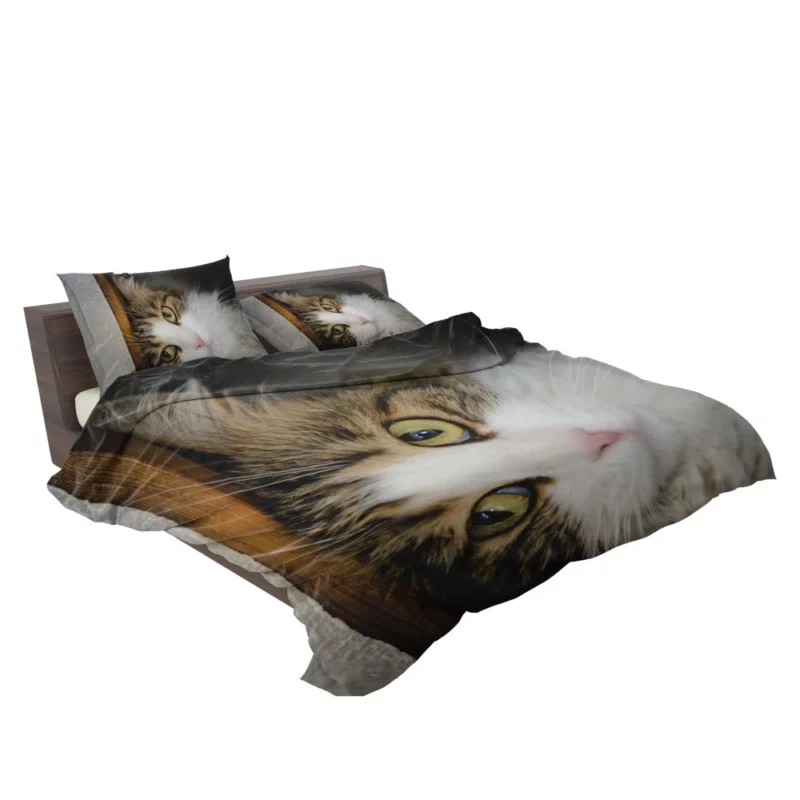 Cute Cat Whimsical Aura Bedding Set 2