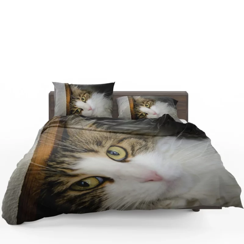 Cute Cat Whimsical Aura Bedding Set