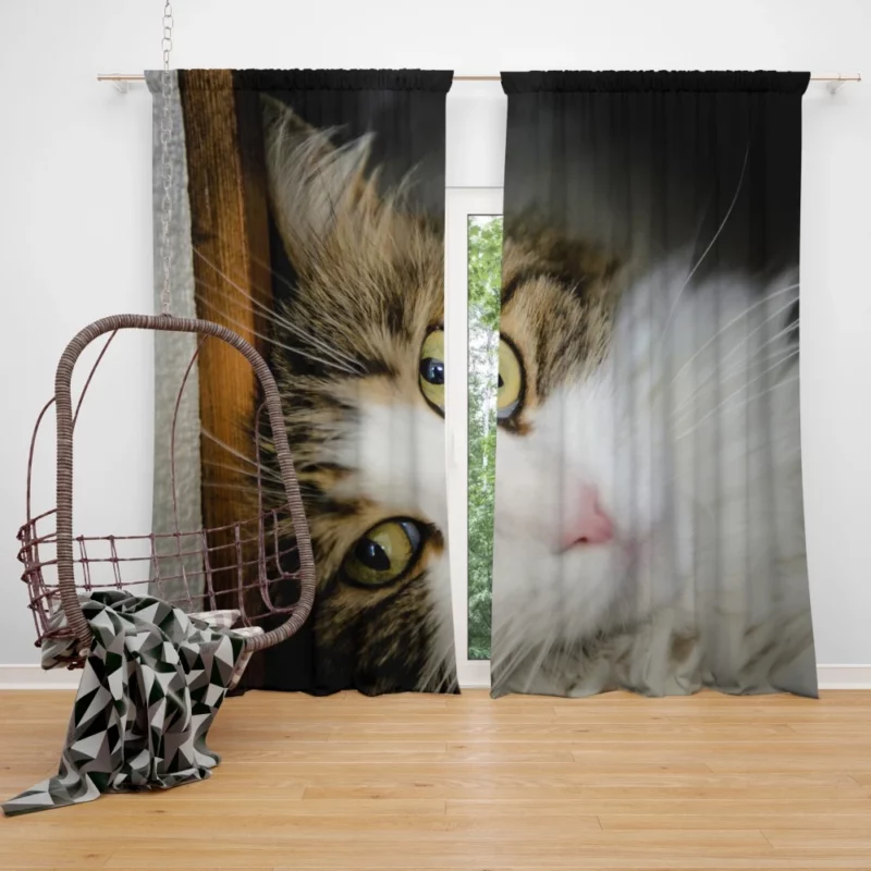 Cute Cat Whimsical Aura Curtain