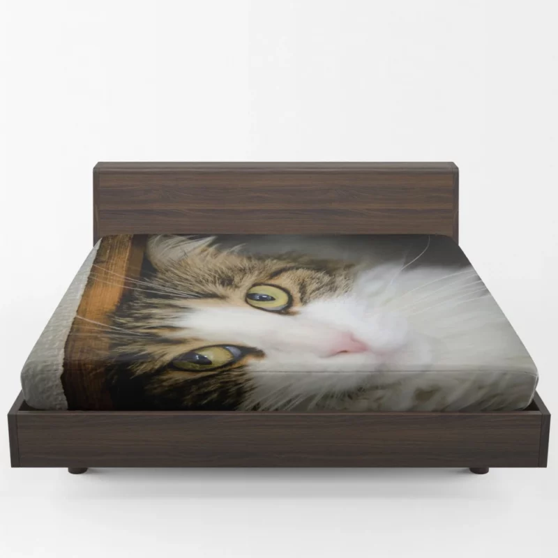 Cute Cat Whimsical Aura Fitted Sheet