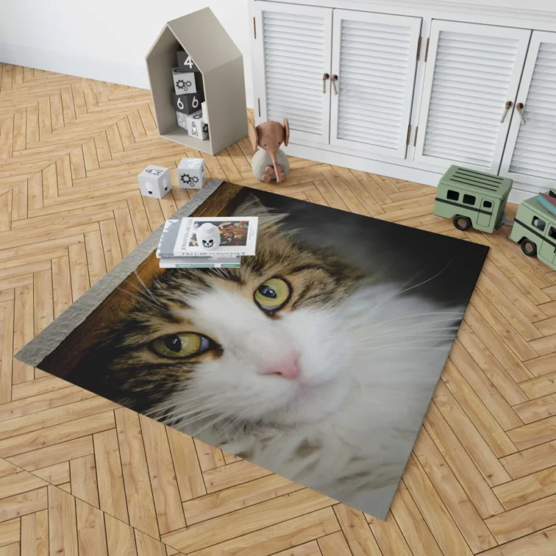 Cute Cat Whimsical Aura Rug 1