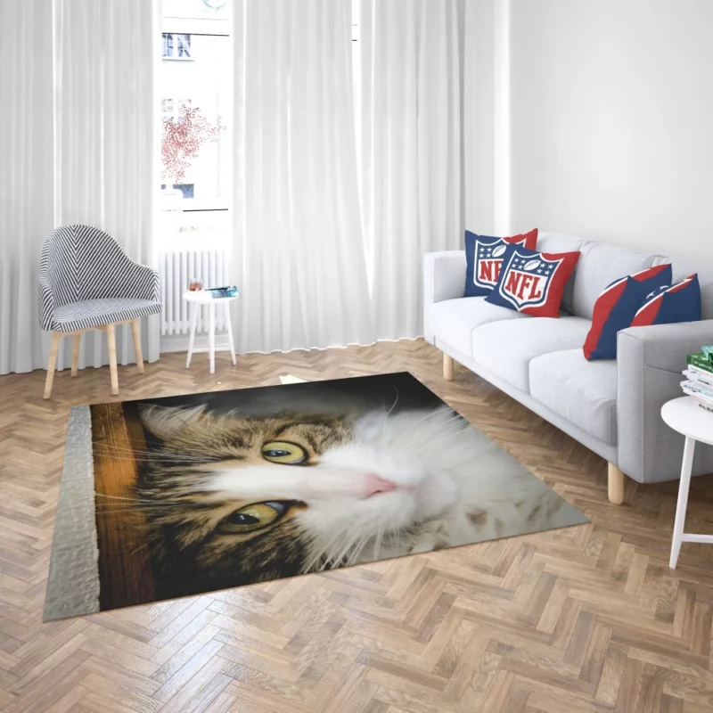 Cute Cat Whimsical Aura Rug 2