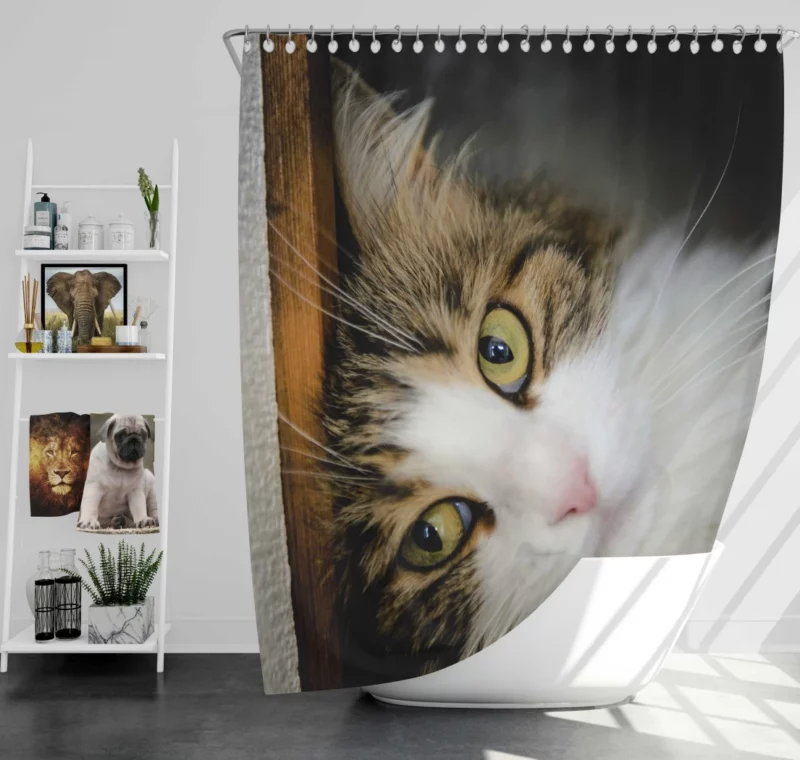 Cute Cat Whimsical Aura Shower Curtain