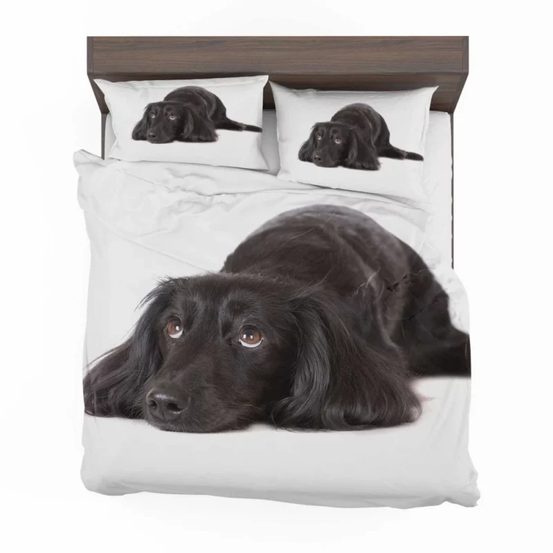 Cute Dachshund Playful Persona Furry Charisma Bedding Set 1