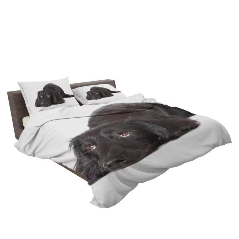 Cute Dachshund Playful Persona Furry Charisma Bedding Set 2