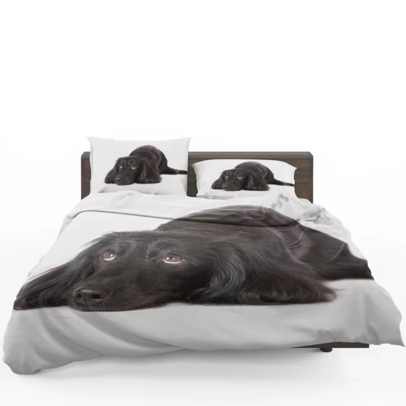 Cute Dachshund Playful Persona Furry Charisma Bedding Set