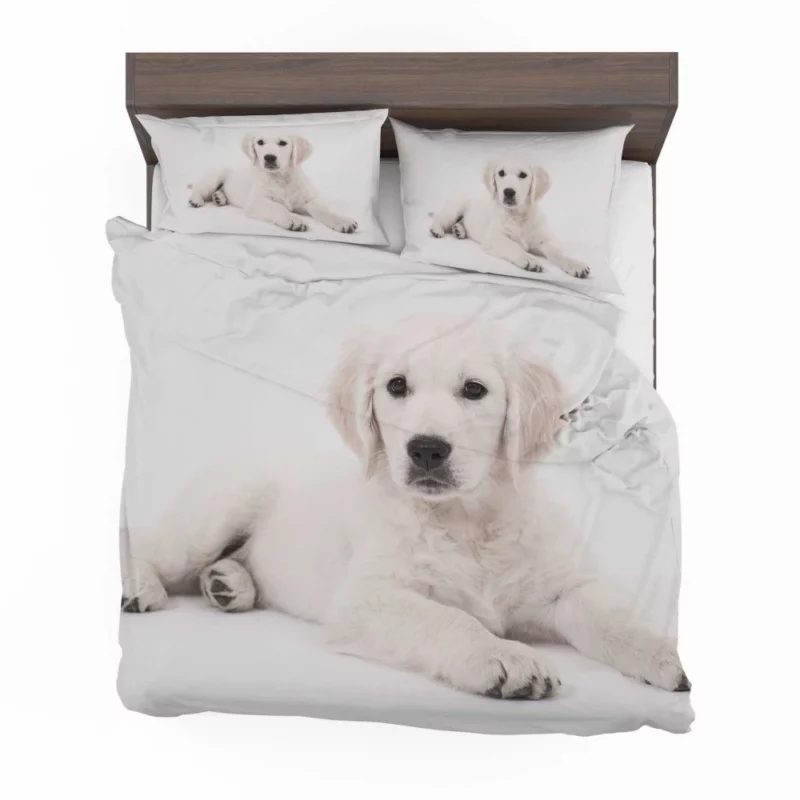 Cute Golden Retriever Pup Innocent Charm Bedding Set 1