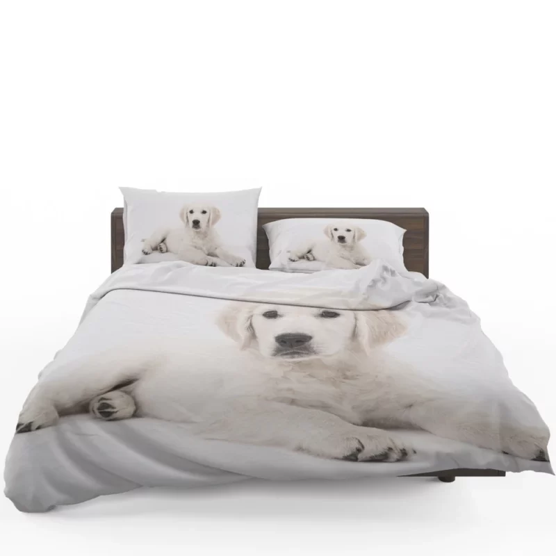 Cute Golden Retriever Pup Innocent Charm Bedding Set