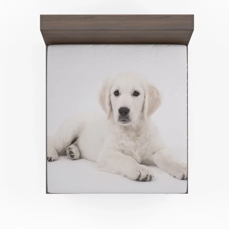 Cute Golden Retriever Pup Innocent Charm Fitted Sheet 1