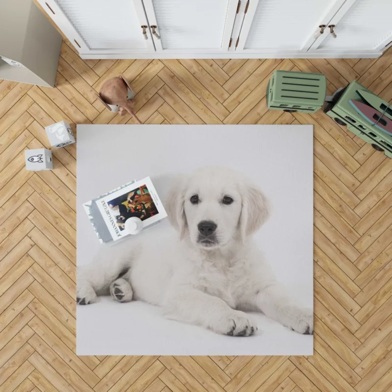 Cute Golden Retriever Pup Innocent Charm Rug