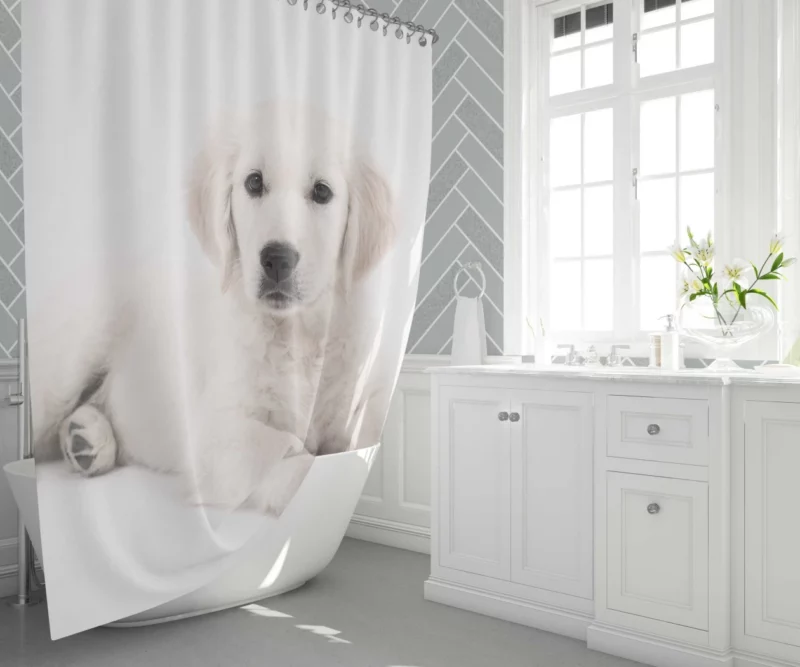 Cute Golden Retriever Pup Innocent Charm Shower Curtain 1