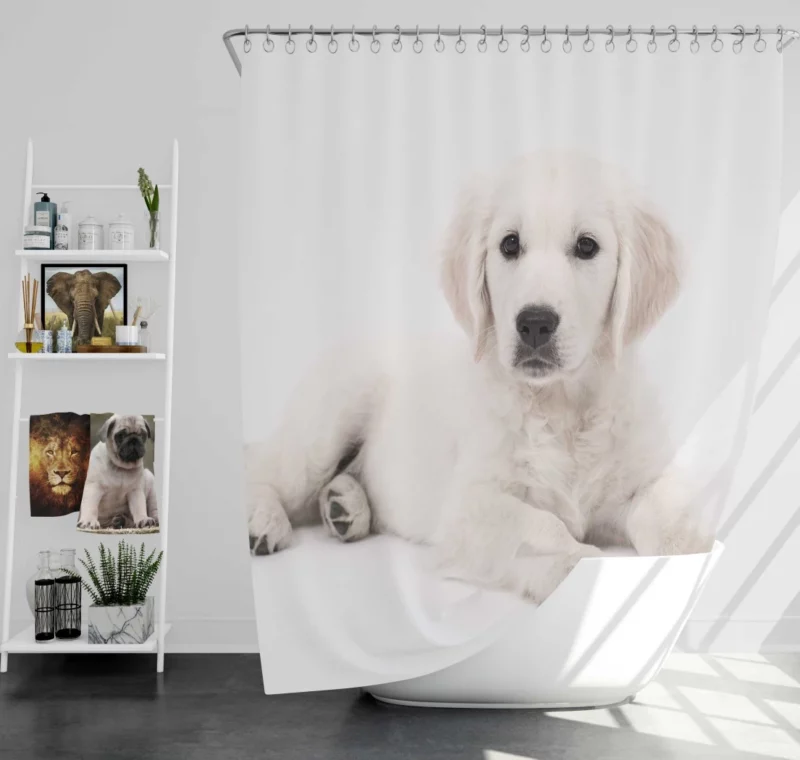 Cute Golden Retriever Pup Innocent Charm Shower Curtain