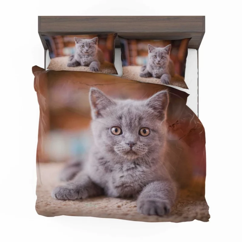 Cute Kitten Endearing Innocence Bedding Set 1