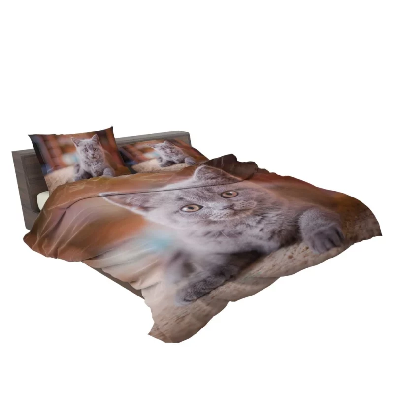 Cute Kitten Endearing Innocence Bedding Set 2