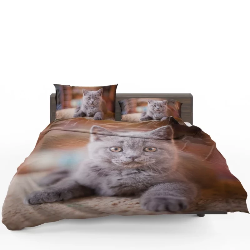 Cute Kitten Endearing Innocence Bedding Set