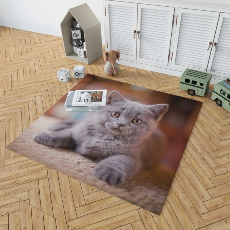 Cute Kitten Endearing Innocence Rug 1