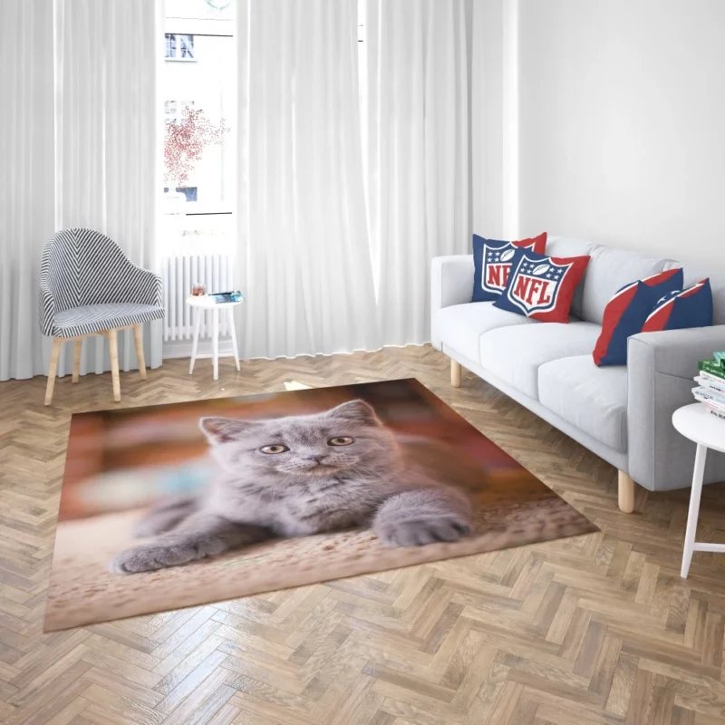 Cute Kitten Endearing Innocence Rug 2