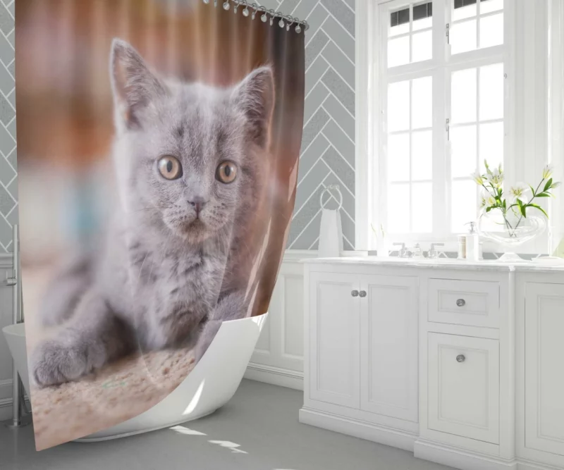 Cute Kitten Endearing Innocence Shower Curtain 1