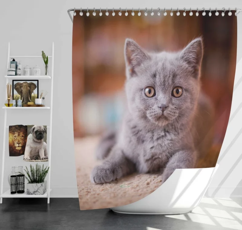 Cute Kitten Endearing Innocence Shower Curtain