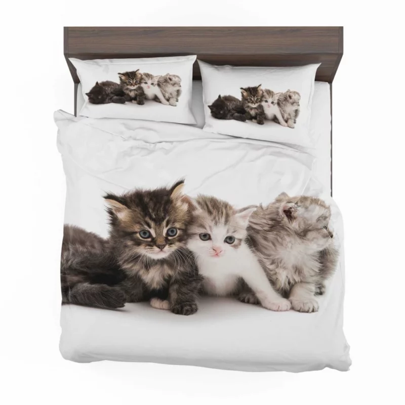 Cute Kittens Innocent Charm Bedding Set 1