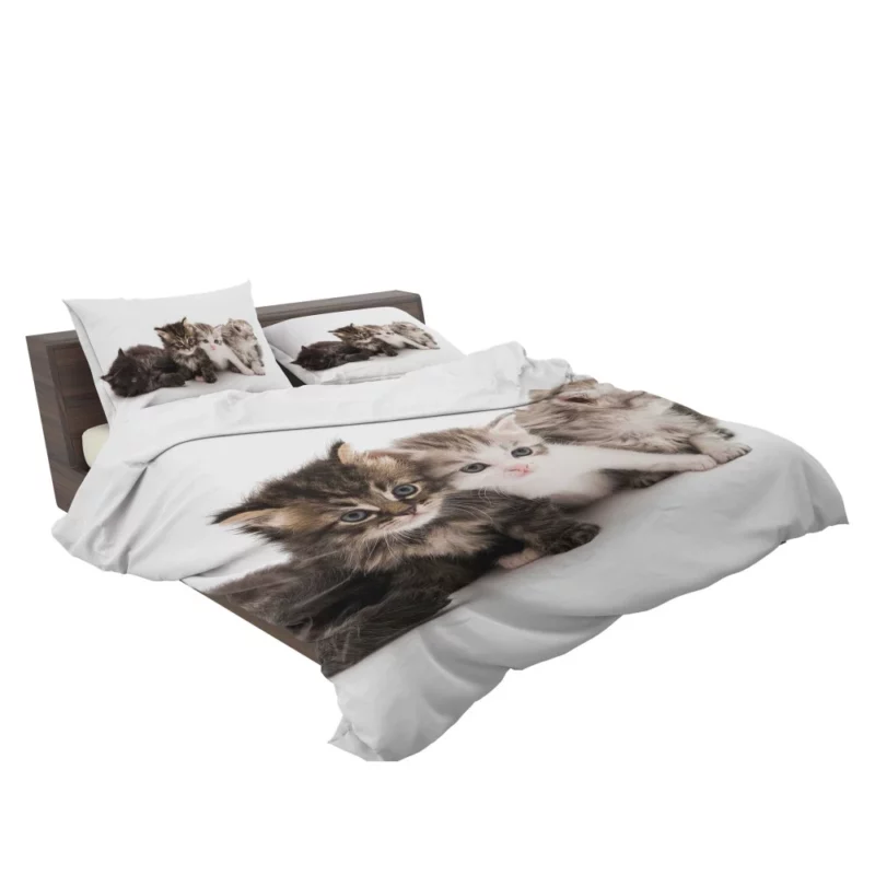 Cute Kittens Innocent Charm Bedding Set 2