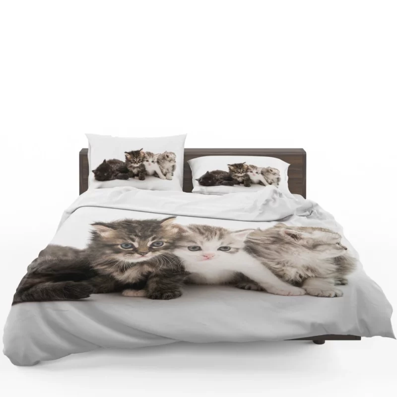 Cute Kittens Innocent Charm Bedding Set