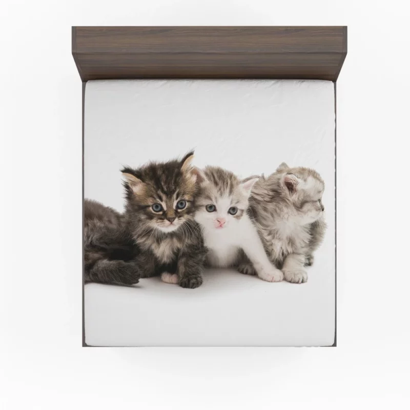 Cute Kittens Innocent Charm Fitted Sheet 1