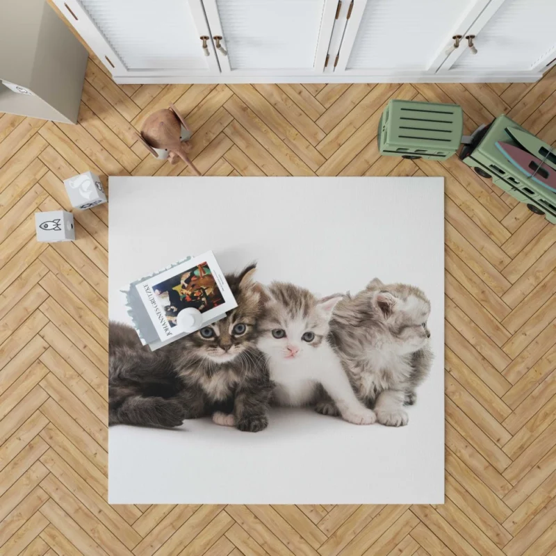 Cute Kittens Innocent Charm Rug