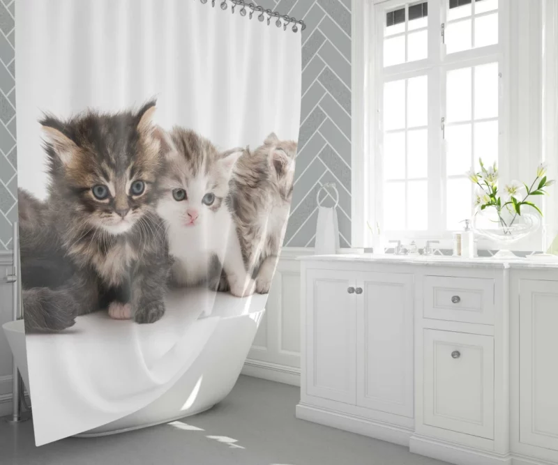 Cute Kittens Innocent Charm Shower Curtain 1