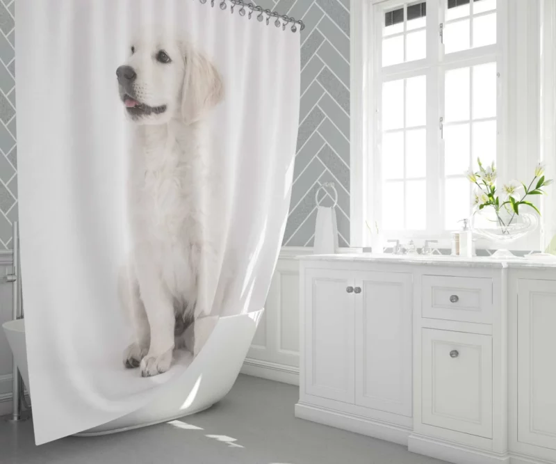 Cute Retriever Puppy Shower Curtain 1