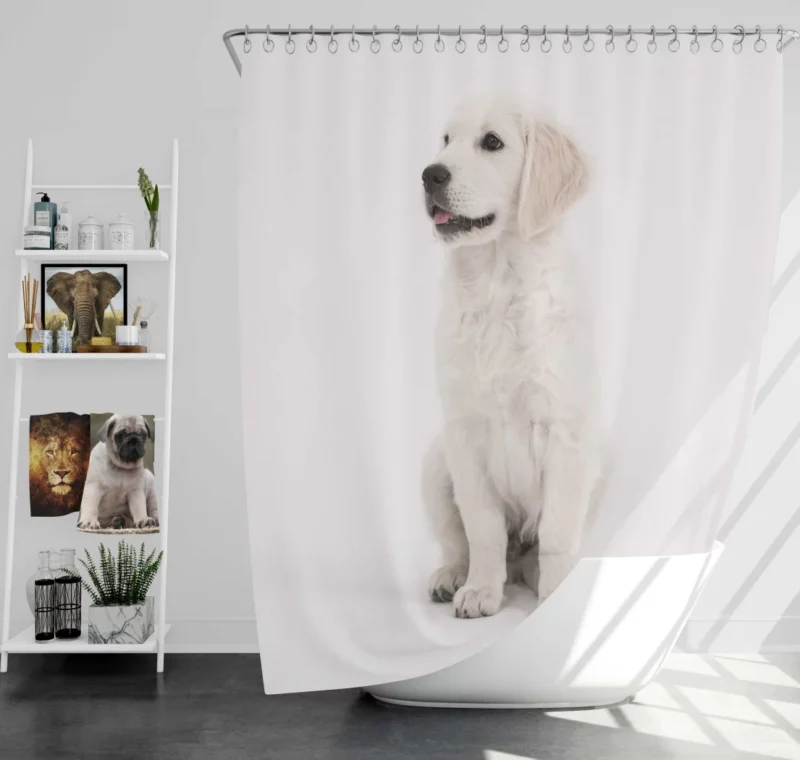 Cute Retriever Puppy Shower Curtain