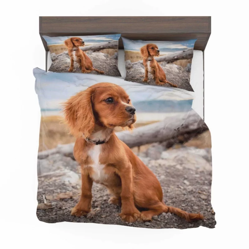 Cute Spaniel Puppy Adorable Charm Bedding Set 1