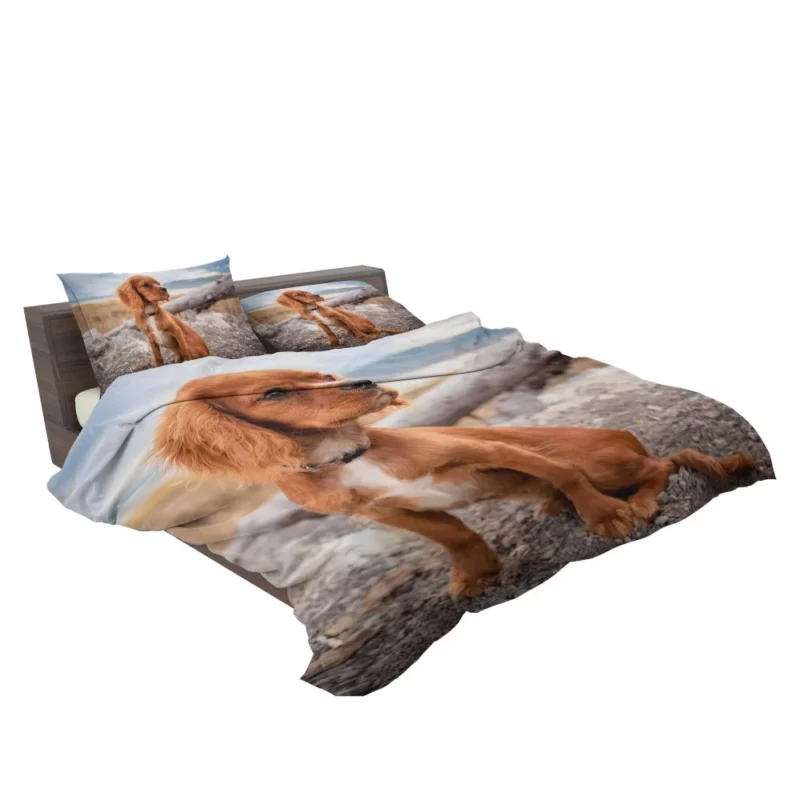 Cute Spaniel Puppy Adorable Charm Bedding Set 2