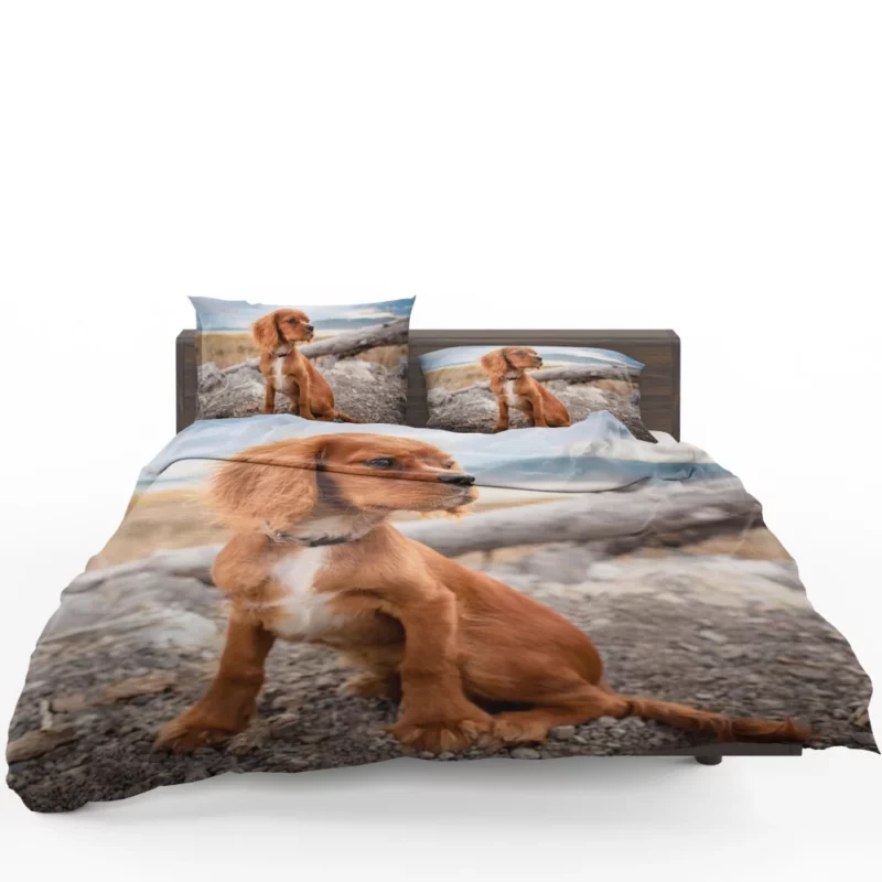 Cute Spaniel Puppy Adorable Charm Bedding Set