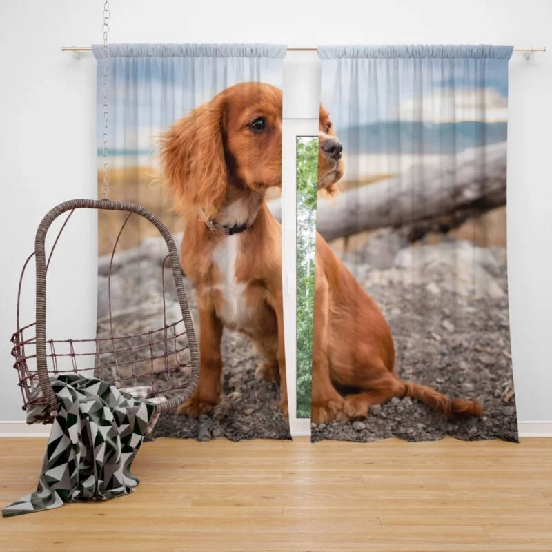 Cute Spaniel Puppy Adorable Charm Curtain