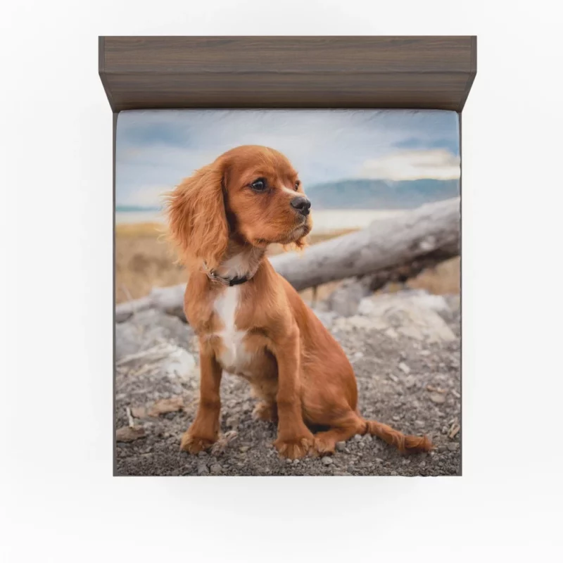 Cute Spaniel Puppy Adorable Charm Fitted Sheet 1