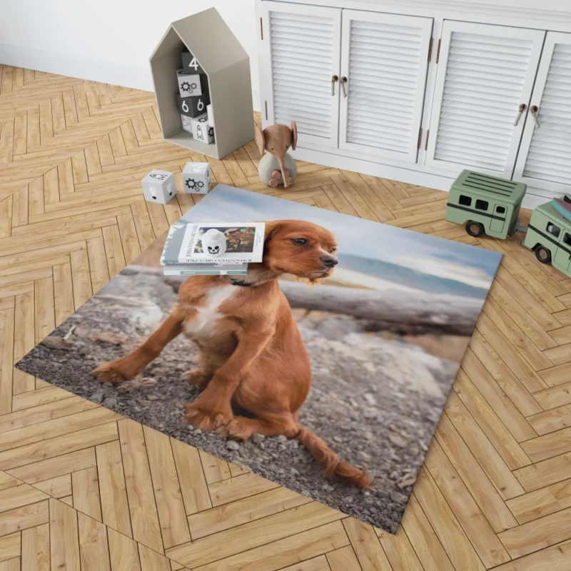 Cute Spaniel Puppy Adorable Charm Rug 1